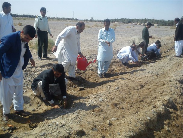 کاشت 200 اصله نهال در مشاع کشاورزی اطراف دلگان+ تصاویر