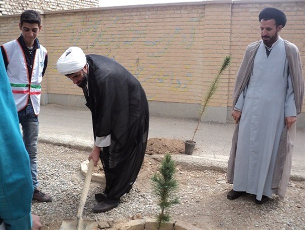 درختکاری، ارزان ترین راه حل برای ایجاد شهری پاک و زیباست
