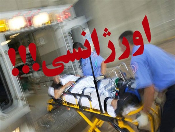 پیرزنی با زخم‌های چرکین در قائم‌شهر