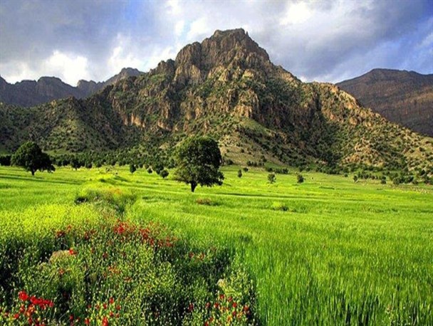 حفظ 136 هزار هکتار منابع طبیعی نیازمند حمایت مردم است