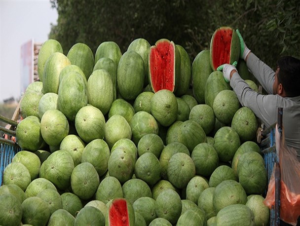 هندوانه زمستان وارد بازار شد