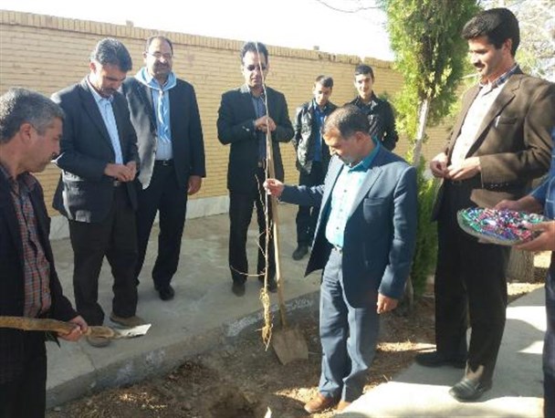 تصاویر/ درختکاری جمعی از مسئولین بخش مروست شهرستان خاتم