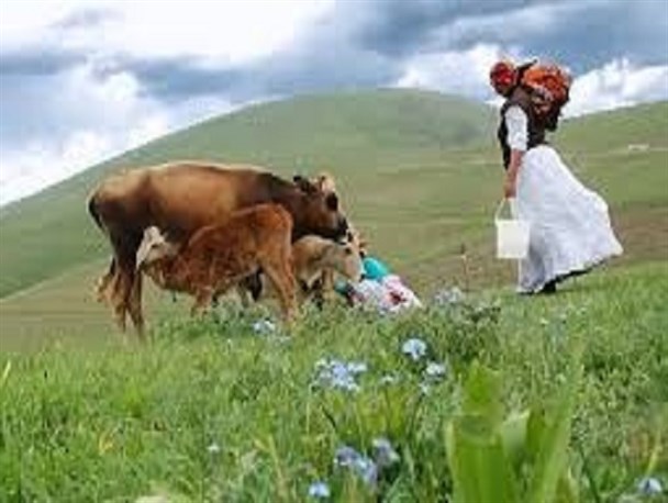 رابطه مستقیم فقر زدایی با حفظ محیط زیست/ کارآفرینی در روستاها مانع تخریب منابع طبیعی می شود