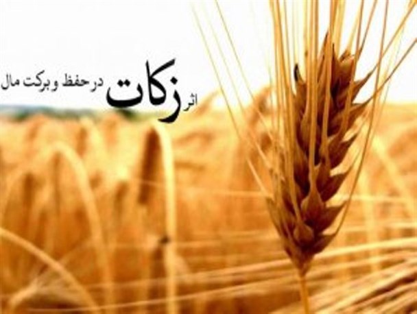 آخرین جلسه ستاد احیاء زکات سال ۹۵ در صحنه برگزار شد