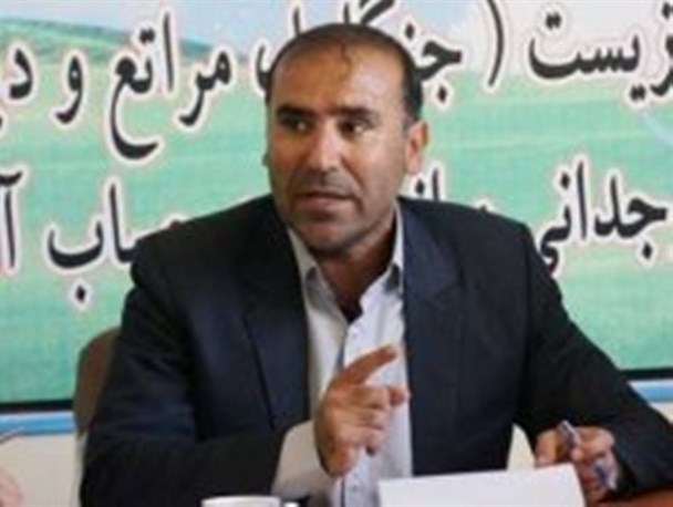 قلع و قمع 13 هزار اصله نهال غرس شده متعرضان در اراضی ملی استان کهگیلویه و بویراحمد