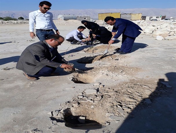کاشت نهال به مناسبت روز درختکاری در دانشگاه آزاد دیر