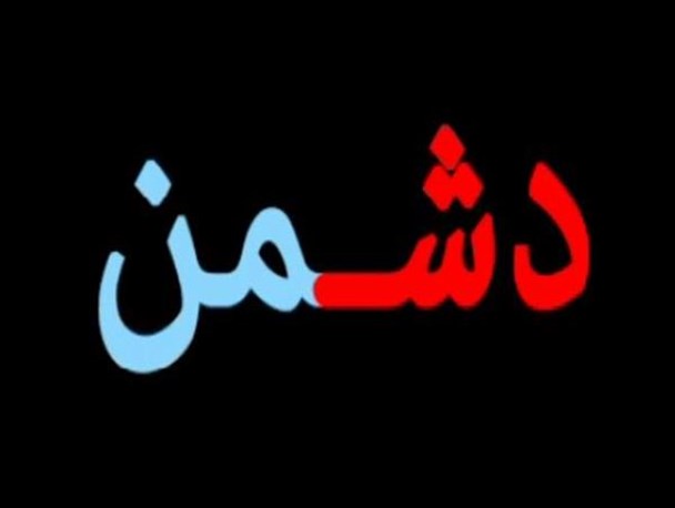 از دشمن جز دشمنی بر نیاید