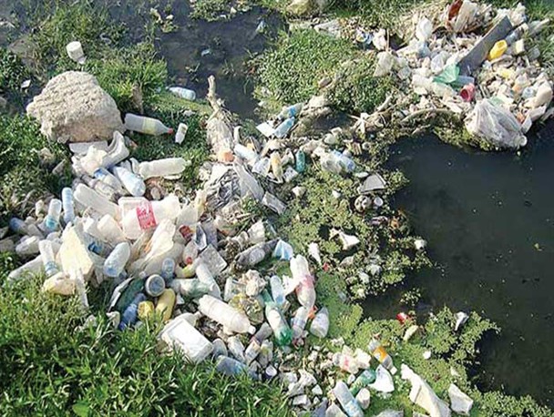 مشکلات زیست محیطی حاصل کاربرد فن آوری افسار گسیخته است/تخریب سکونتگاه‌های طبیعی موجب کاهش تنوع زیستی می شود