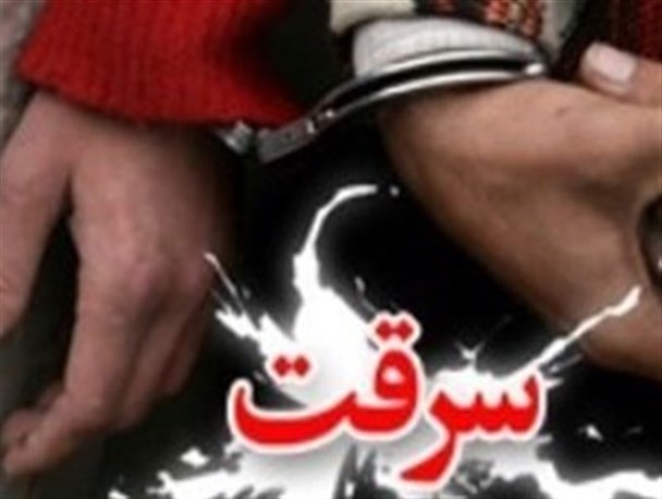 کاهش 8 درصدی سرقت در سیستان و بلوچستان/سمساری ها و ضایعات فروشی ها زیر ذره‌بین قانون