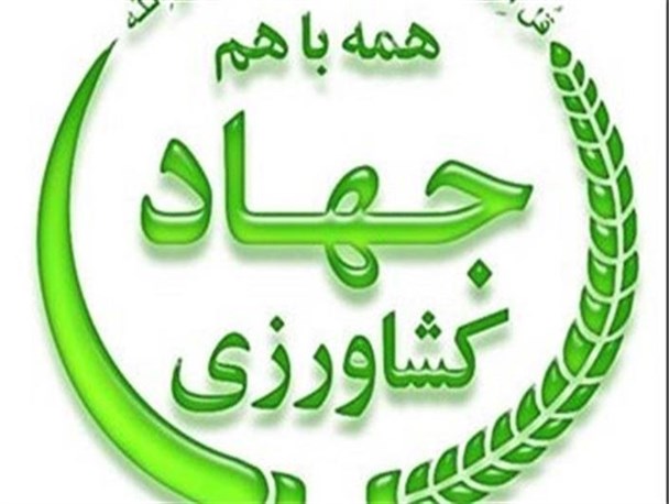 ترکیب سموم "دیازینون" و "اتیون" تقلبی است