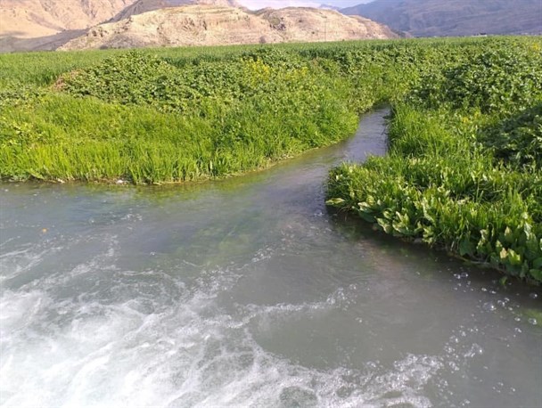 طبیعت زیبا در روستای بلَدان شهرستان چرام/چشمه های روان و طبیعتی رویایی عیدی روستای بلدان به گردشگران نوروزی+تصاویر