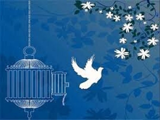 ۱۲ زندانی جرائم غیرعمد در لرستان آزاد شدند