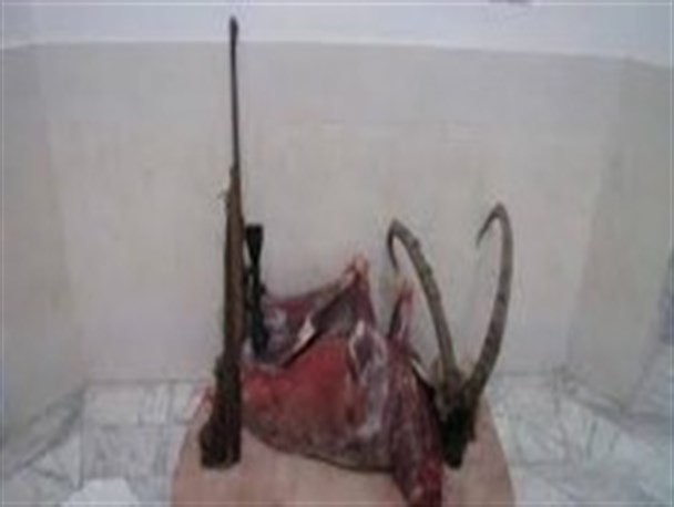 دستگیری شکارچی متخلف در بندرلنگه