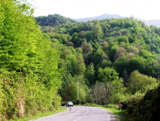 طبیعت زیبای جاده گلوگاه به دامغان /تصاویر