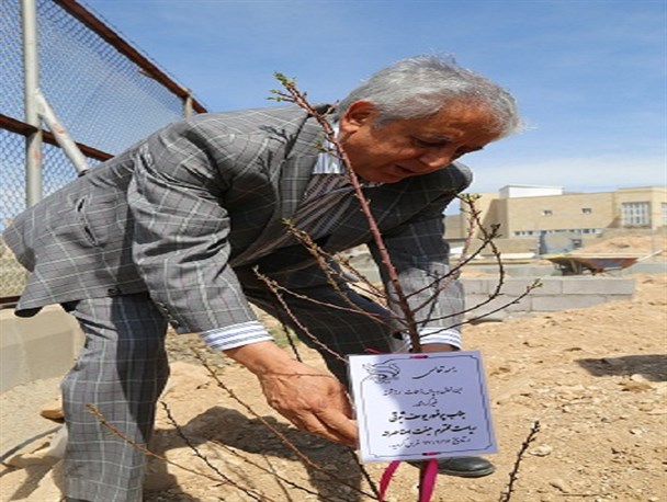 نهال های مهربانی با دستان خیرین زنجانی غرس شدند+تصاویر