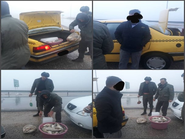 متخلف صید غیرمجاز در چهارمحال و بختیاری دستگیر شد