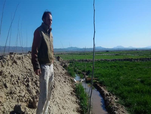 سه هزار اصله نهال توت بین نوغانداران در رشتخوار توزیع شد