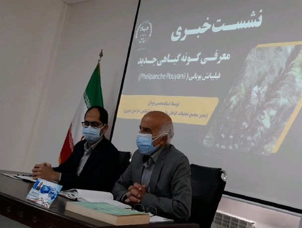 گونه گیاهی "فیلیپانش پویانی" به ثبت جهانی رسید+فیلم