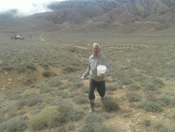 کودپاشی مراتع به دلیل آسیب دیدن حیات وحش استان زنجان متوقف شد