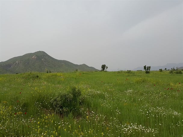 چشم اندازهای طبیعی بخش سرفیروزآّباد