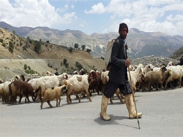 کوچ بهاری عشایر کهگیلویه