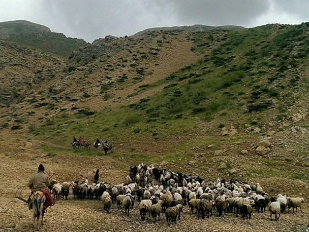 برگزیدگان مسابقه "عکس با تلفن همراه"در کهگیلویه+عکس