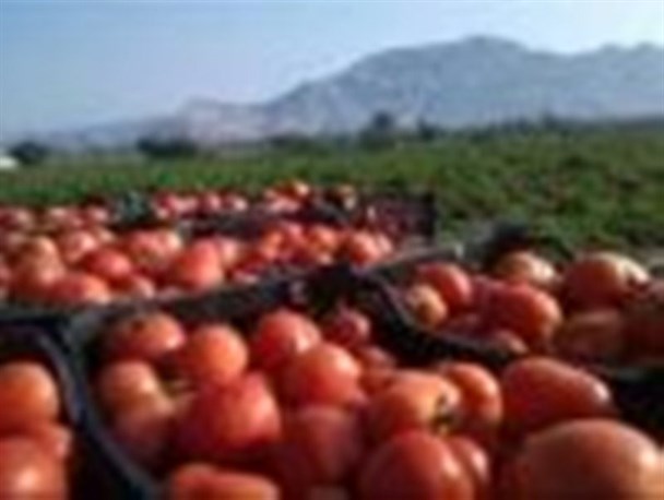 زندگی مردم رودبار رنگش گوجه ایست