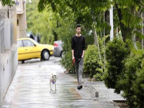 سگ گردانی در قم مورد قبول مردم نیست!