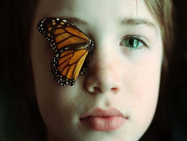 شکسته شدن بال های پروانه ای ها زیر آوار نداری/ نیازهای پروانه ای ها با قرار گرفتن جزء بیماران خاص برطرف نشد