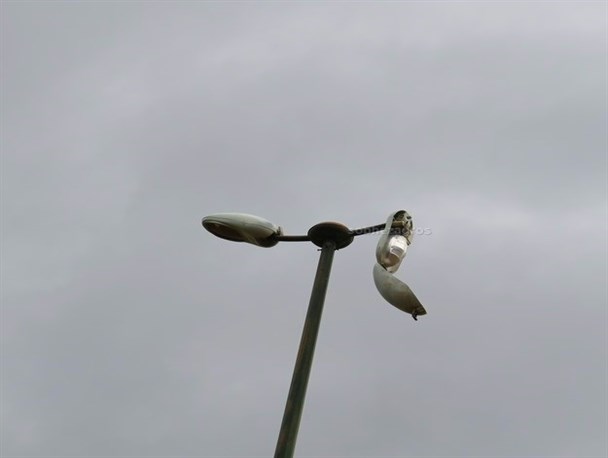 تاریکی سهم شبانه پارک جنگلی یاسوج/ ضرورت اتخاذ تدابیر پیشگیرانه برای جلوگیری از تخریب اموال عمومی+تصاویر