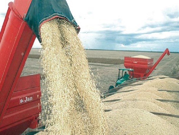 پشت پرده مافیای واردات گندم/ یارانه‌ای که به جیب آمریکایی‌ها می‌رود