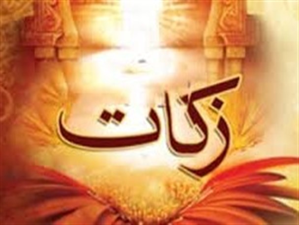 مبلغان باید در زمینه زکات مستحبی اطلاع رسانی کنند