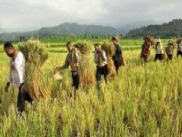 اجرای طرح بسیج همگام با کشاورز در 453روستای استان اردبیل