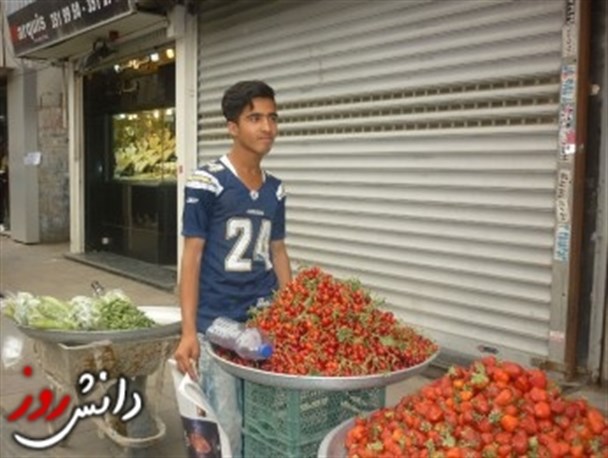 انواع جوانی+تصاویر