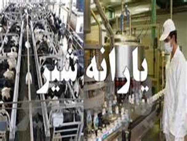 تبعیض در حمایت از تولیدکنندگان در استانهای مختلف/سودجویی واسطه ها از یارانه شیر دامداران خندابی