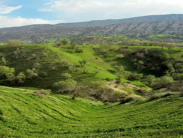 روستایی با تقدیم 7 شهید و برگزاری کلاس تفسیر قرآن با قدمتی 22 ساله+تصاویر