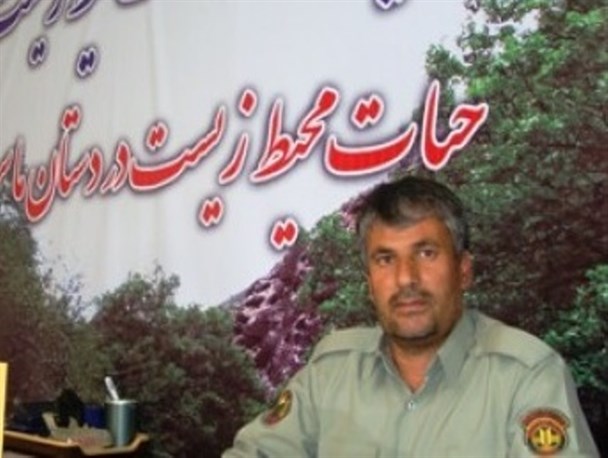 شکارچیان پرندگان مهاجر درجوین دستگیرشدند
