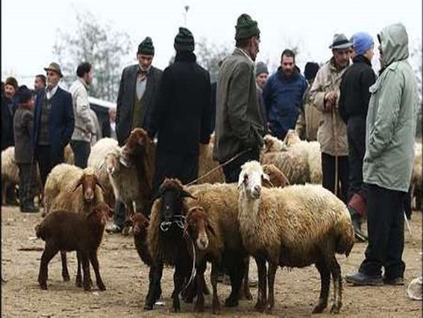 تعطیلی میادین دواب میاندوآب به منظور پیشگیری از شیوع تب برفکی