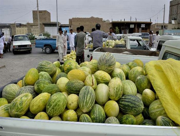 آیا خربزه سیستان در گذر زمان طعم خود را از دست داده است؟