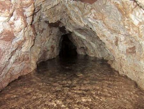 فاجعه زیست محیطی در کرمان با بالا آمدن آب های زیر سطحی/هشداری که جدی گرفته نمی شود