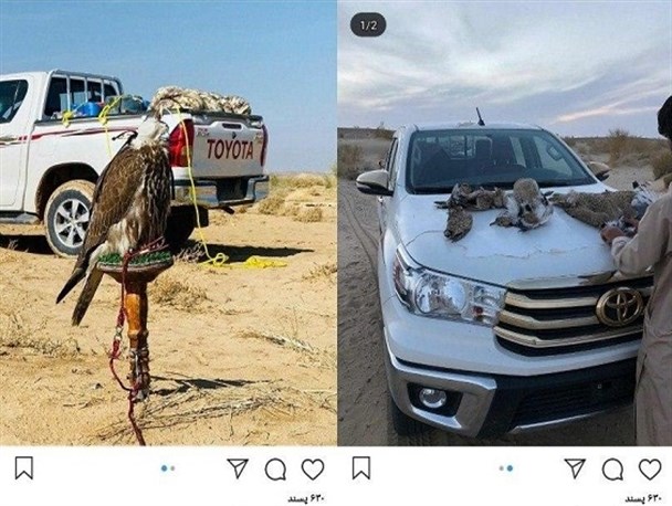 97 متخلف با 400 تخلف زیست محیطی در سیستان و بلوچستان شناسایی شدند