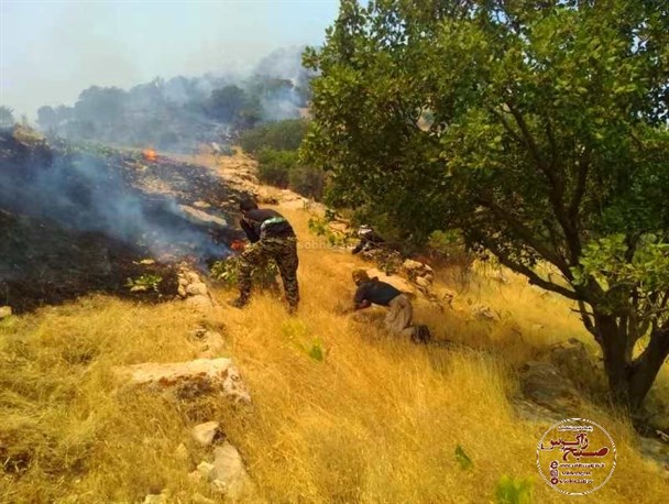 مهار کامل آتش سوزی شلالدون شهرستان باشت