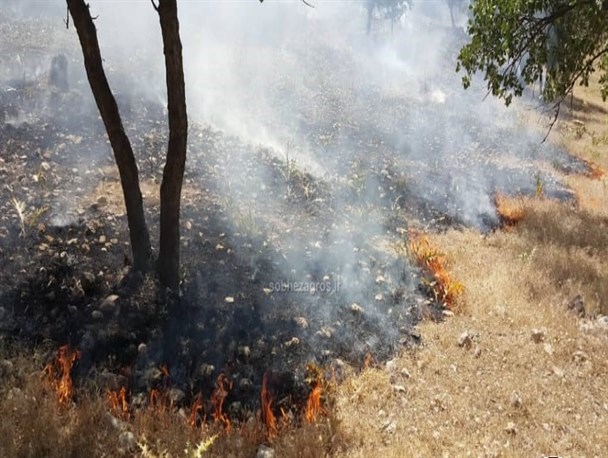 آتش به جان جنگل های دنا افتاد/اجازه ندهید خائیزی دیگر تکرار شود+تصاویر