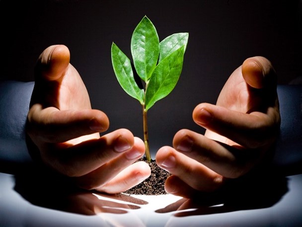 شورای پنجم آران و بیدگل و مسأله هویت شهری