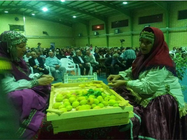 گزارش تصویری پنجمین جشنواره گردشگری زردآلوی بسطام