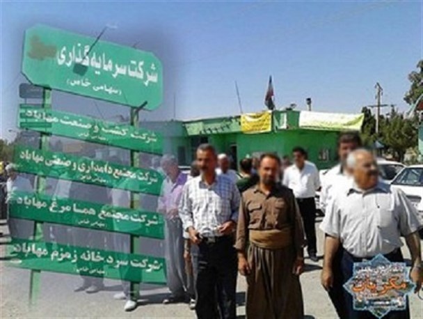 کشت و صنعت مهاباد و شکوهی که دیگر نیست