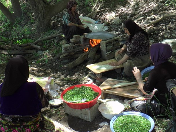 نانی با طعم کوهستان در جوار چشمه سارهای طبیعت کردستان+عکس