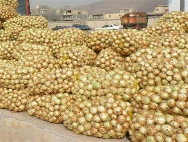 کشف محموله پیاز قاچاق به ارزش ۸۲۲ میلیون ریال در ریگان