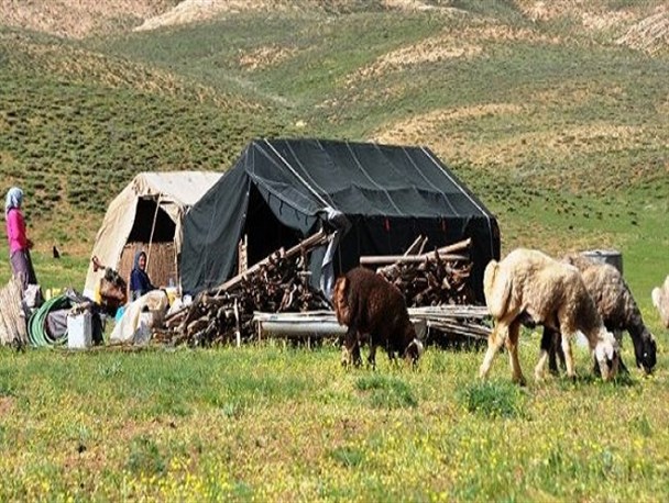 ۵۷ میلیون تومان اقلام ضروری بین عشایر الیگودرز توزیع شد