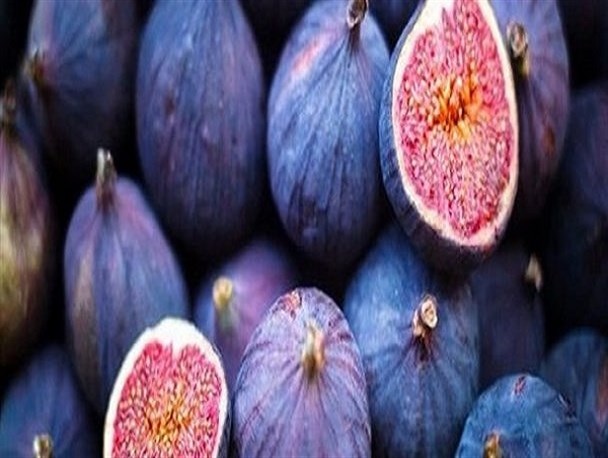 ۳۰ هزار تن انجیر در پلدختر برداشت می‌شود/ لزوم ایجاد صنایع تبدیلی